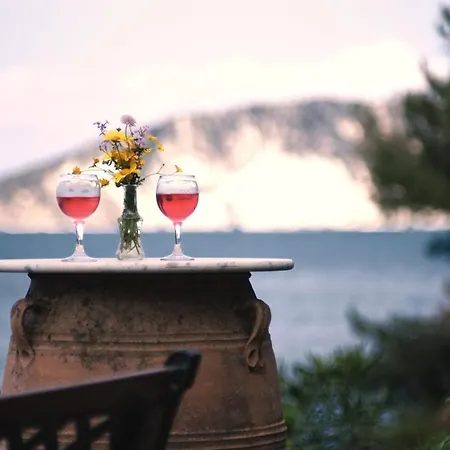 Pitsimenti Center For Peace, Private Boat - Sea Access And Closest Point To Marathonisi Island