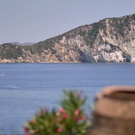 Pitsimenti Center For Peace, Private Boat - Sea Access And Closest Point To Marathonisi Island Campsite Marathias (Zakynthos)