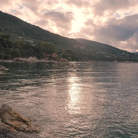 Pitsimenti Center For Peace, Private Boat - Sea Access And Closest Point To Marathonisi Island Campsite Marathias (Zakynthos)