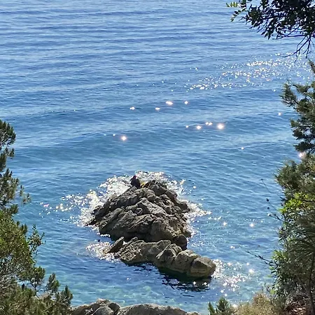 Pitsimenti Center For Peace, Private Boat - Sea Access And Closest Point To Marathonisi Island *